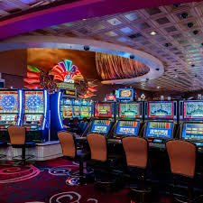 tg55 bet
