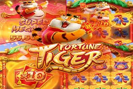 tg55 bet